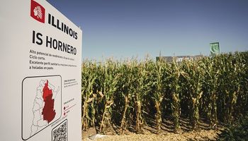 Lo nuevo en maíz de la precampaña de Illinois y una novedad en trigo: "Seguimos apostando a complementar la propuesta de integralidad de YPF Agro"