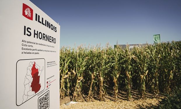 Lo nuevo en maíz de la precampaña de Illinois y una novedad en trigo: "Seguimos apostando a complementar la propuesta de integralidad de YPF Agro"