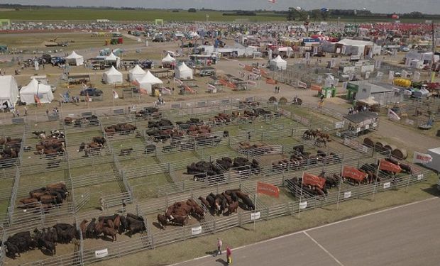 Además, de las tradicionales actividades que realiza en cada edición, este año incorpora concurso de novillos en pie y Block-test, y Aparte Campero.