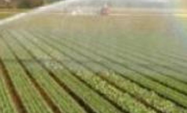 "Expoagro nos concentra a todos: empresas, clientes y productores"