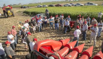 Llega la muestra que espera volver a despertar al campo