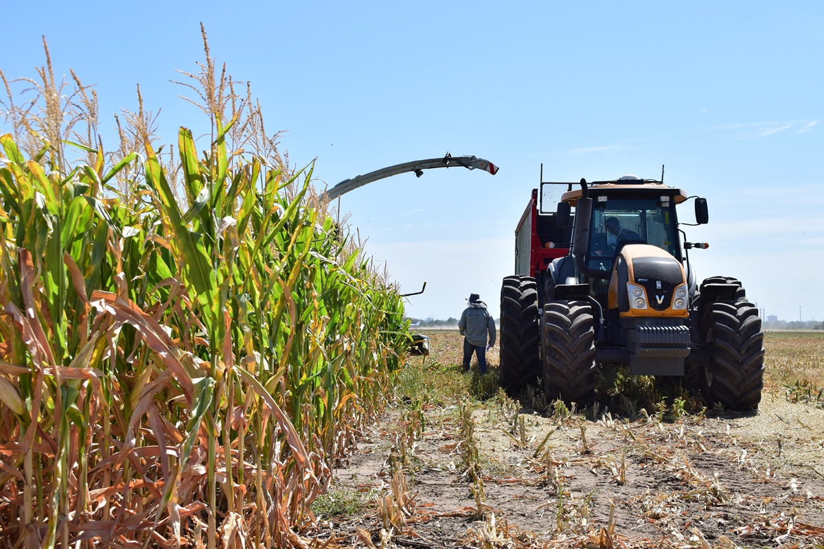 noticiaspuertosantacruz.com.ar - Imagen extraida de: https://news.agrofy.com.ar/noticia/212219/que-confianza-productores-tuvo-peor-caida-julio-2019-cuando-gano-paso-alberto