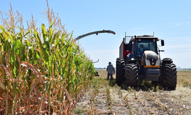 Por qué la confianza de los productores tuvo la peor caída desde julio de 2019, cuando ganó las PASO Alberto Fernández