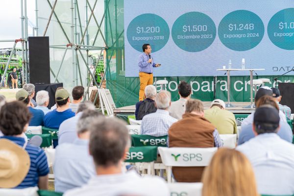 expoagro david miazzo