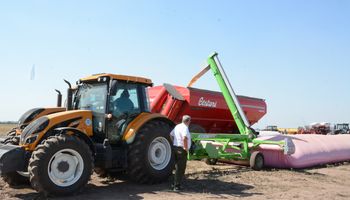 Los anuncios "inminentes" que impactan en el agro: recomiendan "abrir los ojos" para capturar oportunidades