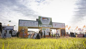 A 20 años de su creación, Expoagro se prepara para una edición 2026 récord: todos los espacios vendidos y más innovación en el campo