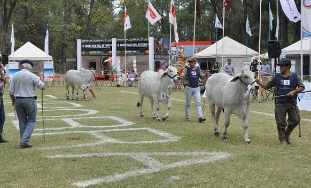 Hasta el viernes 18, en Santiago del Estero.