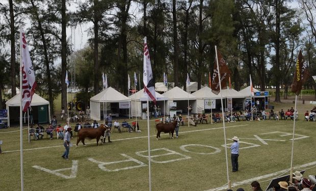 "Estamos muy entusiasmados con una nueva ExpoBRA", aseguró Alberto Colombres Garmendia, presidente de la Asociación Braford Argentina.