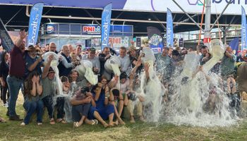 Expointer: banho de leite tem recorde histórico no concurso da raça Holandesa
