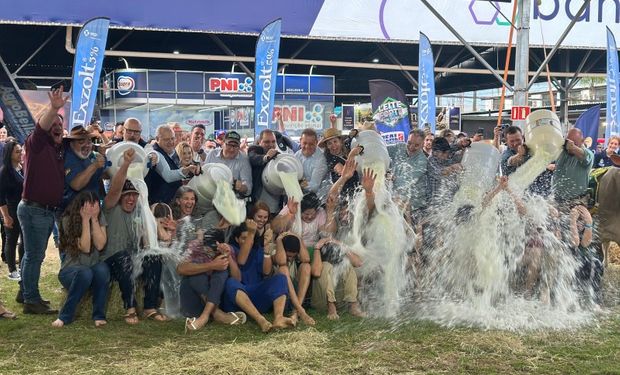 Expointer: banho de leite tem recorde histórico no concurso da raça Holandesa