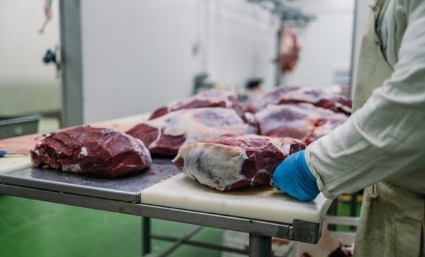Brasil tem aumento de 35,5% de plantas aptas a exportar carne para a China