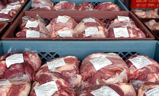 En 2018 se podrían alcanzar las 520 mil toneladas de exportación.