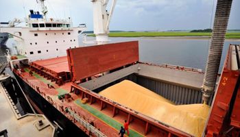 El agro promete completar la venta de u$s 600 millones en los próximos días