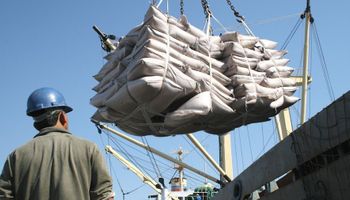Brasil conquista 100 novos mercados para o agro em 2024 e bate novo recorde