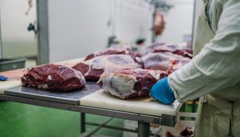 Brasil conquista novo mercado e reforça liderança nas exportações de carne bovina