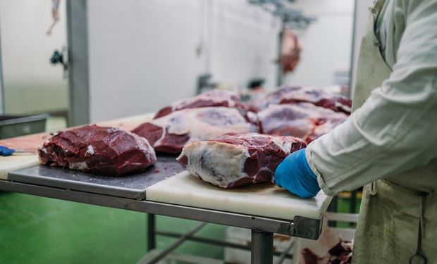 Brasil conquista novo mercado e reforça liderança nas exportações de carne bovina