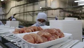 Exportação de carne de frango acumula alta de 6,1% até outubro
