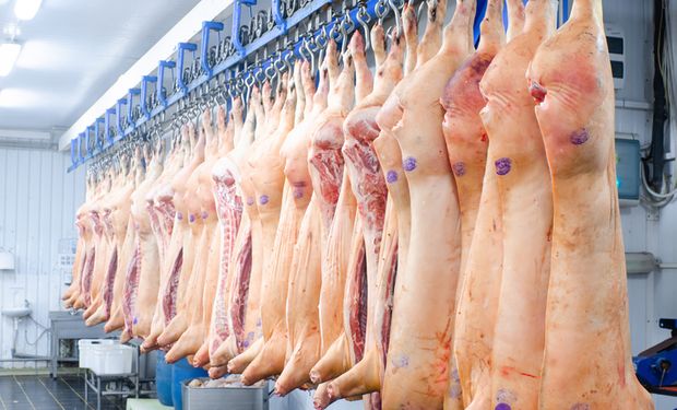 Exportação de carne suína cai 6,3% no primeiro trimestre