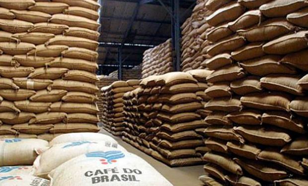 Exportadores de café preparam-se para novas exigências de sustentabilidade