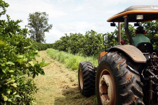 agro_paulista