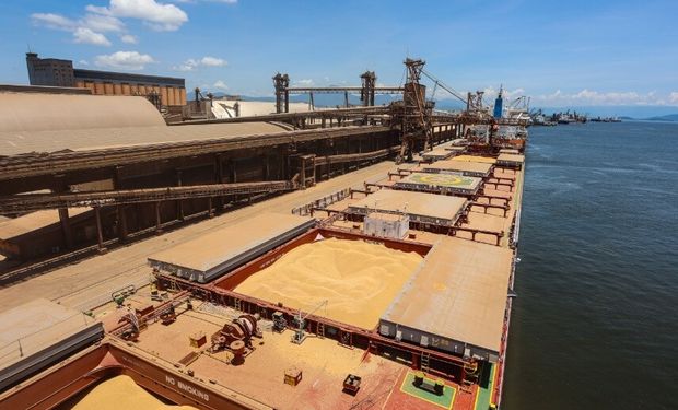 Exportações do agro atingem US$ 14,29 bilhões em agosto com alta puxada por soja, carne e milho