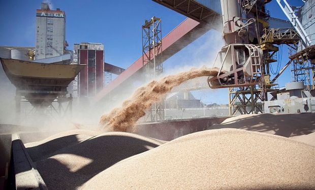 Aceite y harina de soja: el Gobierno reabre el registro de exportación tras el aumento de las retenciones