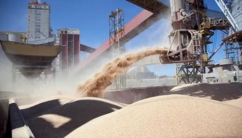 Brasil le robó mercados a la Argentina y aumentó las exportaciones de aceite y harina de soja