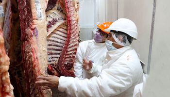 Exportación de carne: Argentina vuelve a quedar afuera del top 5 global