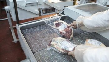 Chau cepo: Aduana identificó a cuatro frigoríficos que intentaron vender carne a China