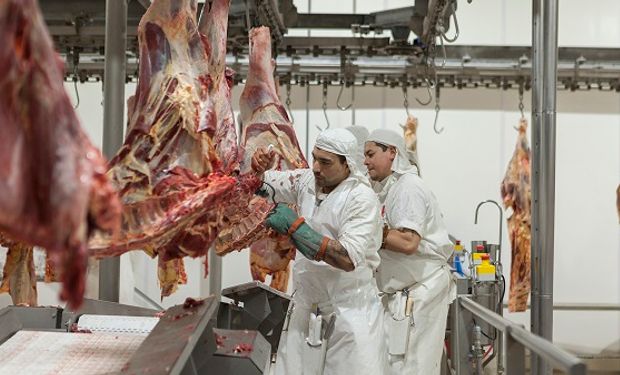 El Gobierno repartió el cupo para exportar carne a Estados Unidos: a quién rechazó de los 48 postulantes iniciales