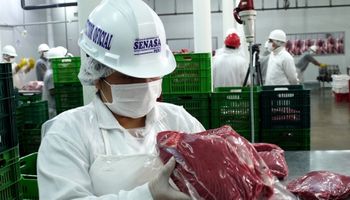 Argentina exportó US$ 3.454 millones de carne durante el 2022