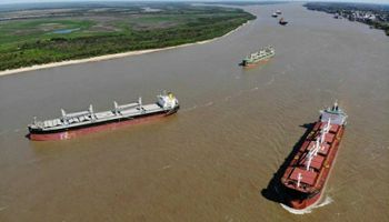 Dólar: el ingreso de la agroexportación durante enero fue el mayor en seis años