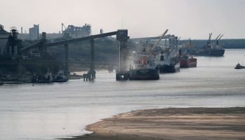 Récord: crece un 74% el ingreso de divisas por la exportación de granos y subproductos