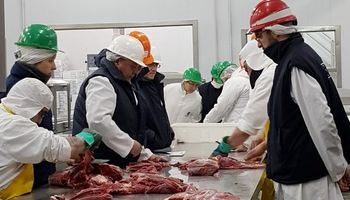 Las 29 preguntas que hay que responder para exportar carne a China