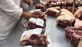 Carne: fijan un cupo mensual de exportación de 30 mil toneladas y se conocen los frigoríficos habilitados