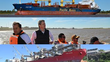US$ 9 millones por día: la exportación "oculta" del agro que debería alertar a la Argentina