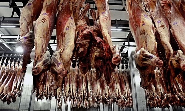 China representa el 60 por ciento de las exportaciones de carne vacuna.