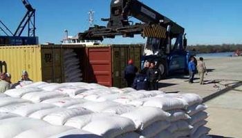 Crece la exportación argentina de arroz 
