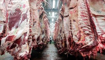 Argentina podrá exportar carne fresca a Estados Unidos