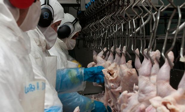 Se reabren las exportaciones de carne aviar entre Argentina y la Unión Europea