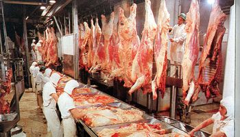Un estudio destaca que la carne argentina sigue siendo muy valorada por los europeos