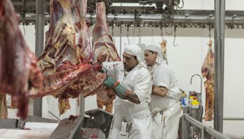 Santa Fe fue la provincia que más carne exportó en 2020