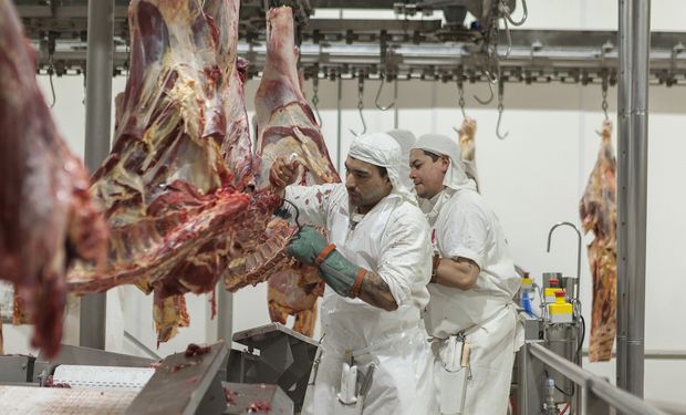 Santa Fe fue la provincia que más carne exportó en 2020
