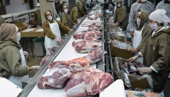Por la fuerte tracción de China, Argentina aumentó casi un 300 % las exportaciones de carne en 10 años