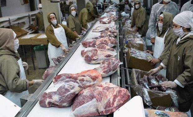 Por la fuerte tracción de China, Argentina aumentó casi un 300 % las exportaciones de carne en 10 años