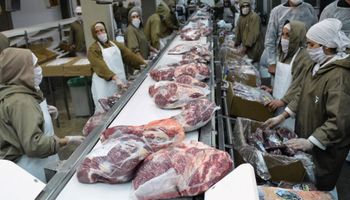 Tercer mes consecutivo que las exportaciones de carne bovina caen, pero el precio tuvo una leve suba