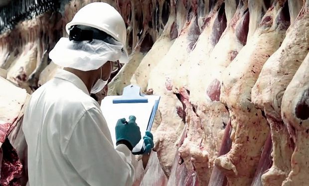 Es oficial: exportadores de carne, granos y lácteos deberán informar el plan de trabajo para el próximo año