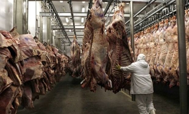 Se dejó de exportar carne por u$s 6000 M