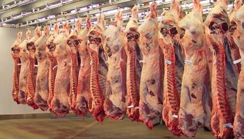Repuntan las exportaciones argentinas de carne