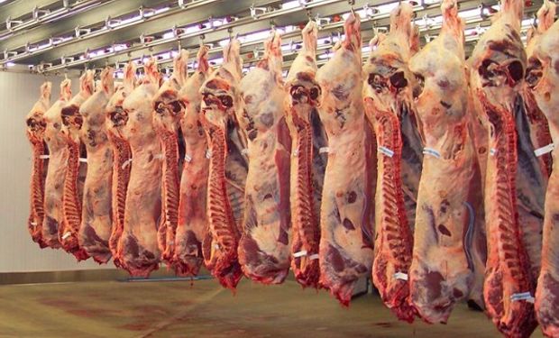 Las mayores ventas a China compensan las caídas en otros mercados.